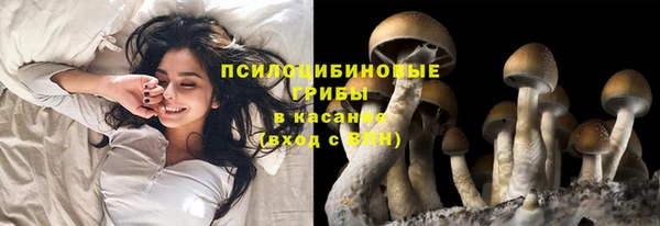 ALPHA-PVP Нязепетровск