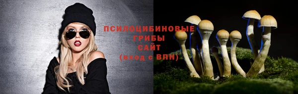 винт Нягань