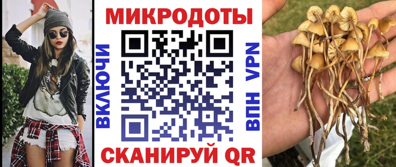 Галлюциногенные грибы прущие грибы Светлогорск